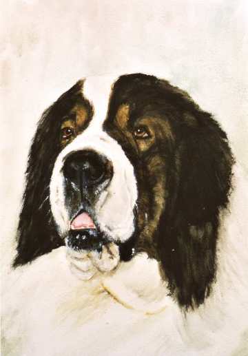 MASTIN DE PIRINEI